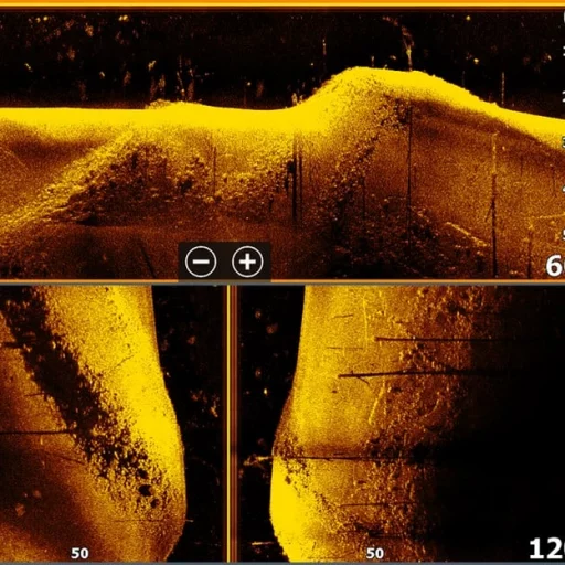 Lowrance Active Imaging HD 3-in-1 FishReveal svinger