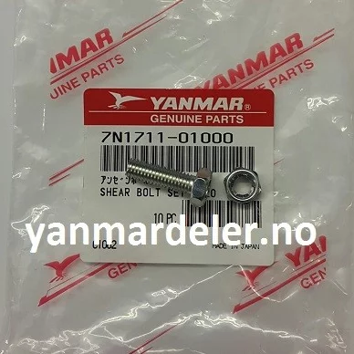 SHEAR BOLT SET 6X20 (Brytepinne)