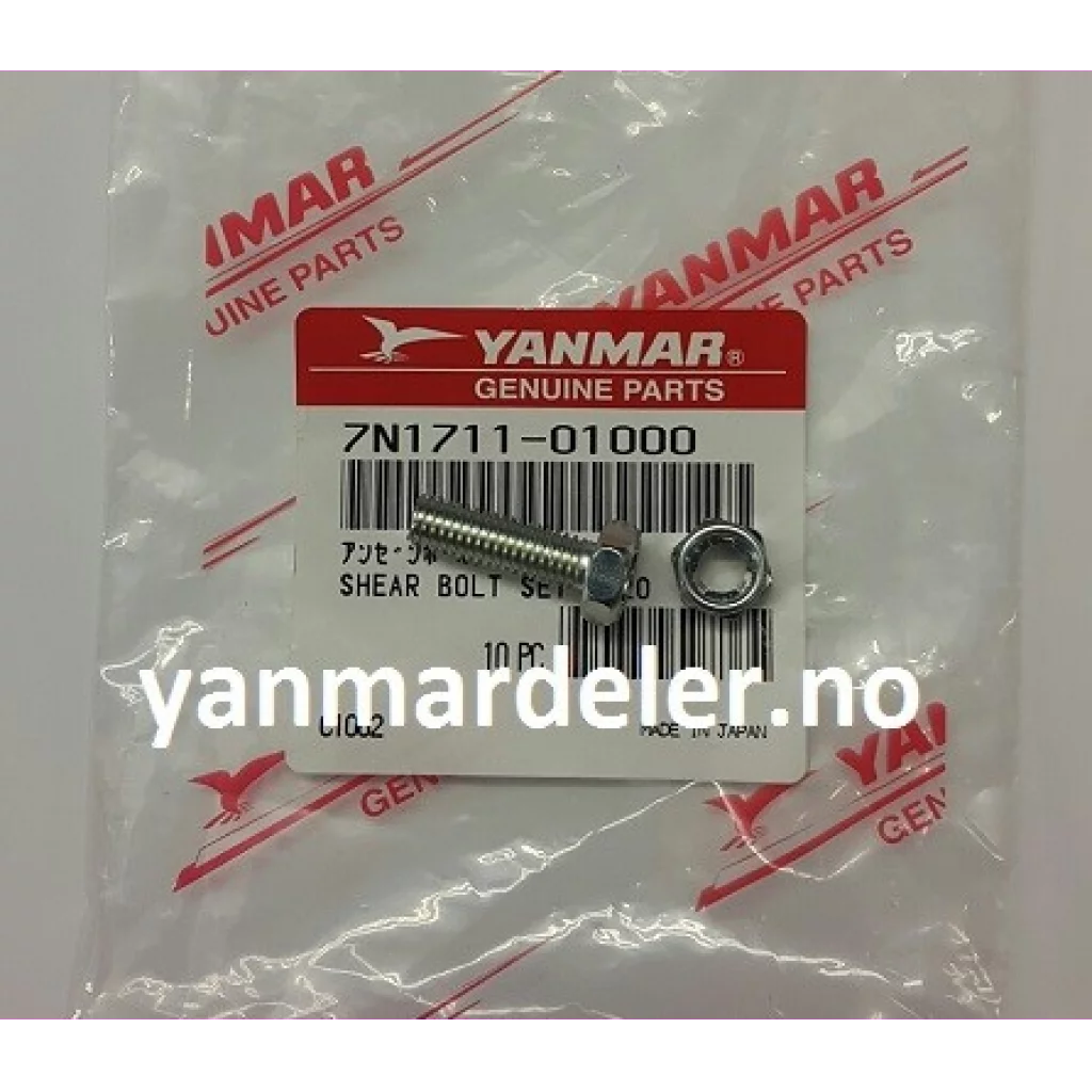 SHEAR BOLT SET 6X20 (Brytepinne)