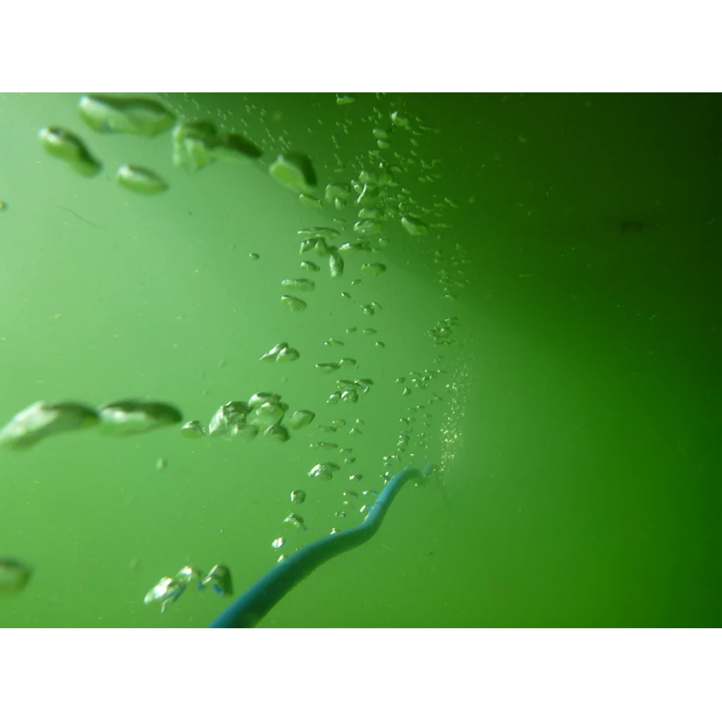 Bobleanlegg VAKE D-icer