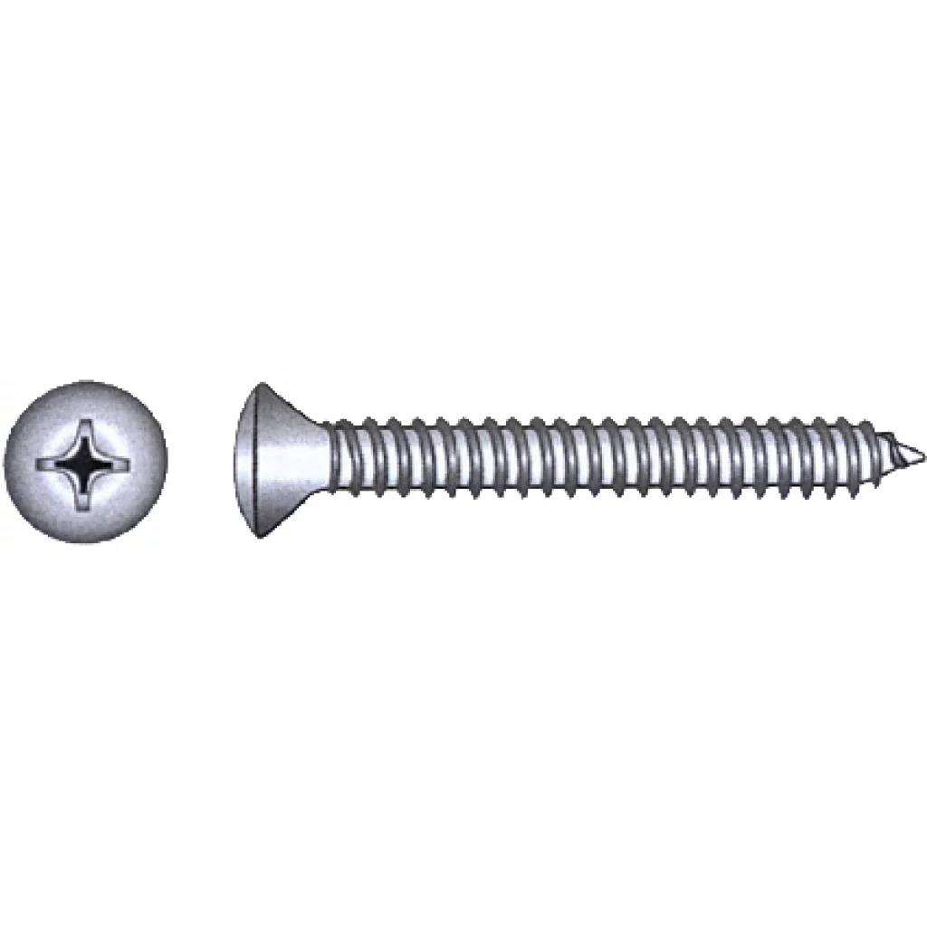 Plateskrue A4 DIN 7983, 2,9 x 9,5 mm, 20 stk