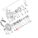 ring-30