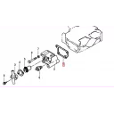 gasket