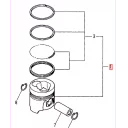 piston-assy