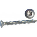 skrue-linsehode-4-2x19-a4-torx-din-9479-4-20-stk