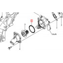 gasket-thermostat