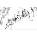 gasket-thermostat