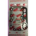gasket-head