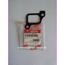 gasket-head-outlet