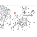 gasket-water-pump