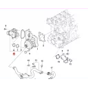thermostat-assy