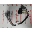 harness-conversion