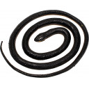 1852-makejager-orm-sort