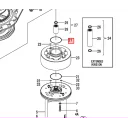 o-ring