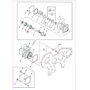 pump-assy-sw