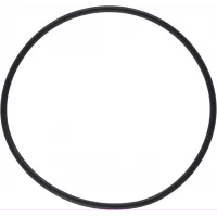 pakning-o-ring-til-3-4-1007481-1-1007499-sjovannsfilt