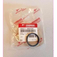 o-ring-1ap32.0