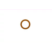 gasket-13x1.0