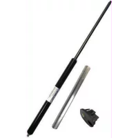 selden-rodkick-fjarer