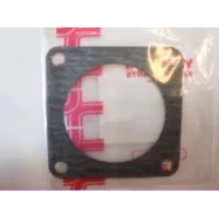 gasket-thermostat