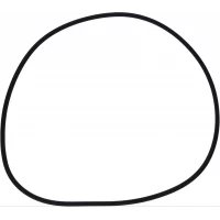 pakning-o-ring-til-sjovannsfilter-1007482-89-1091218